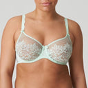 Madison Lace Support