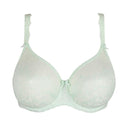 Madison Lace Support