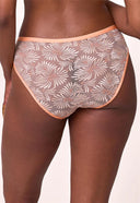 Culotte Bikini - Tangerine - Montelle