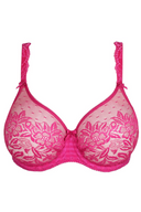 Madison Lace Support