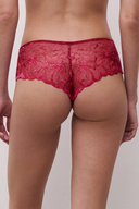 Damour Shades Panties