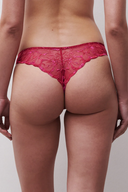 Tanga Damour Shades – Chantelle