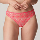 String Belgravia