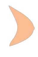Essential Prosthesis