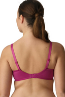 Madison Lace Support