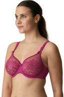 Madison Lace Support