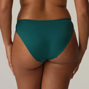 Springdale Panties