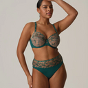 High-waisted panties